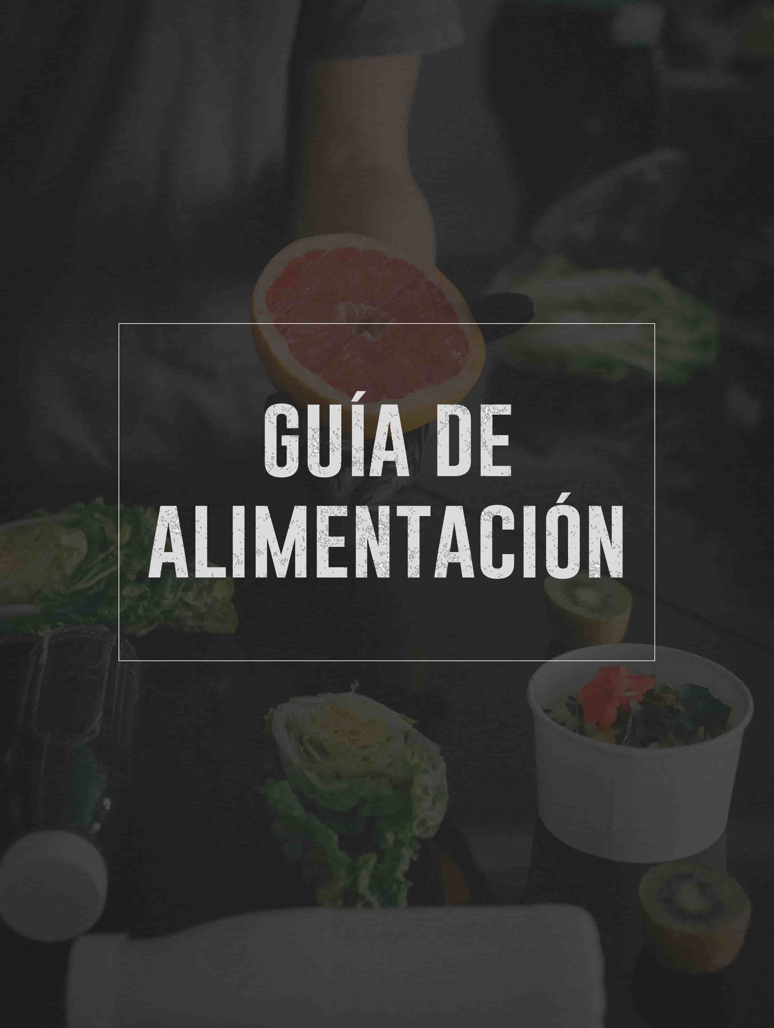 Guía de alimentación